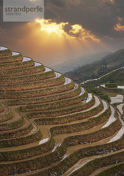 China  Guangxi  Guilin  Longsheng  Terrassenförmige Reisfelder bei Sonnenuntergang