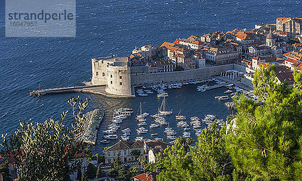 Kroatien  Dubrovnik  Altstadt und Jachthafen