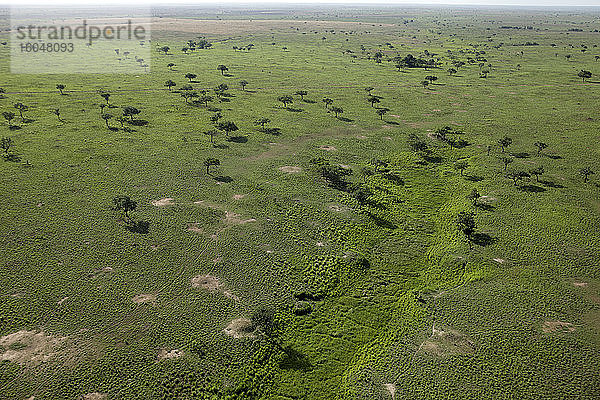 Demokratische Republik Kongo  Luftaufnahme der grünen Landschaft des Garamba-Nationalparks