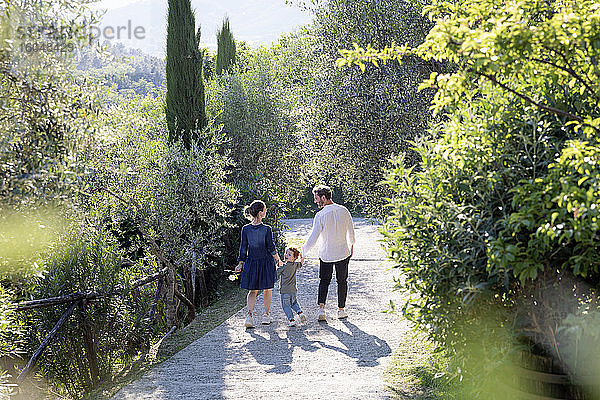 Familie spaziert auf dem Fußweg inmitten grüner Pflanzen im Olivenhain an einem sonnigen Tag