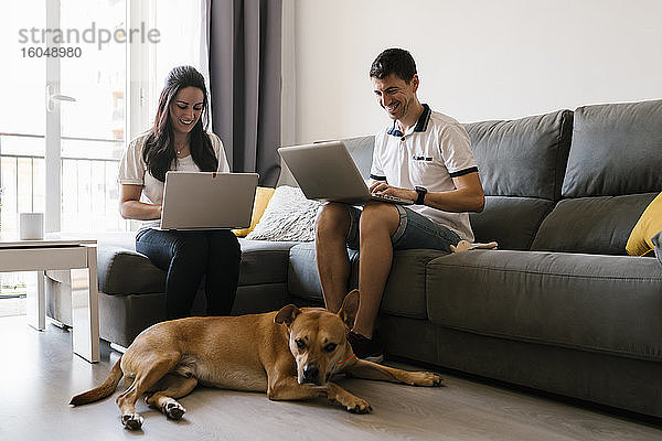 Lächelndes Paar mit Laptops in der Nähe von Hund im Wohnzimmer zu Hause