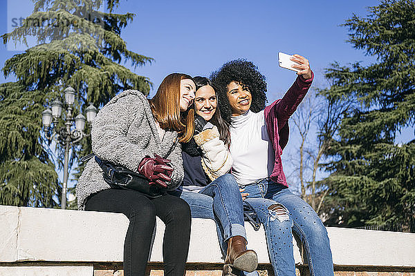 Frau  die ein Selfie mit glücklichen Freundinnen macht  während sie auf einer Stützmauer im Park sitzt