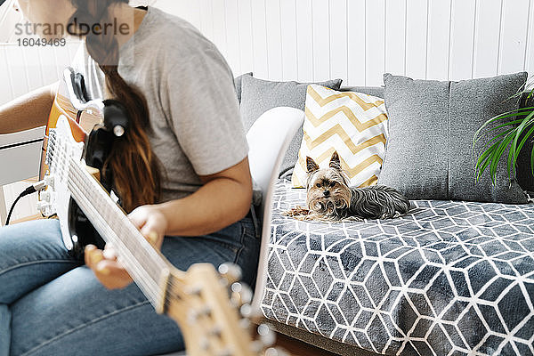 Yorkshire Terrier liegt auf dem Sofa  während die Frau zu Hause Gitarre spielt