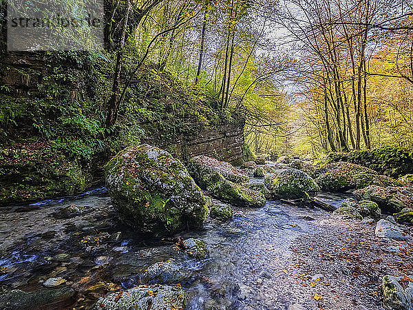 Slowenien  der Fluss Soca fließt zwischen moosbewachsenen Felsbrocken im Herbstwald