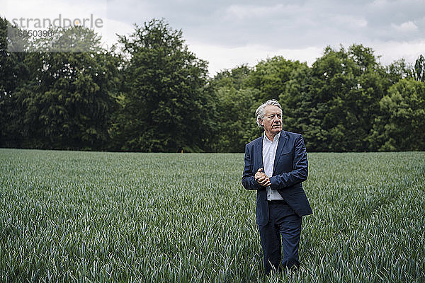 Älterer Geschäftsmann auf einem Feld auf dem Lande