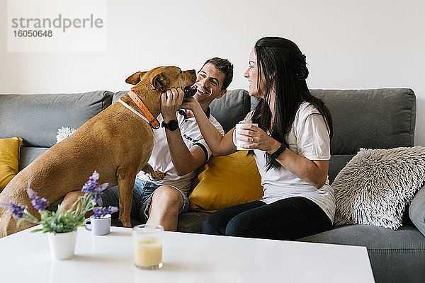 Paar verwöhnt mit Hund auf dem Sofa zu Hause