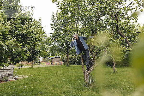 Älterer Mann am Telefon in einem Baum in einem ländlichen Garten