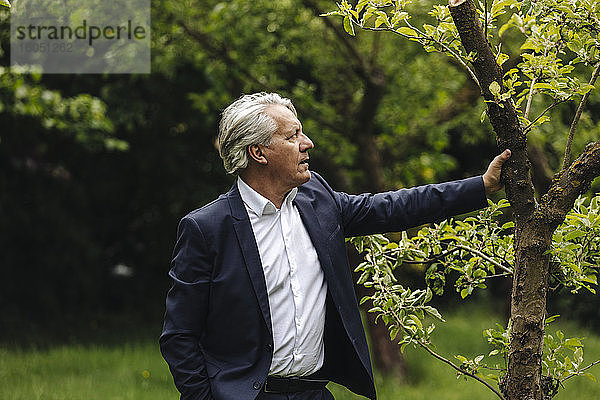 Ein älterer Geschäftsmann steht an einem Baum in einem ländlichen Garten