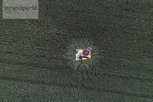 Drohnenaufnahme eines Paares  das sich auf einer Decke inmitten eines grünen Kornfelds entspannt