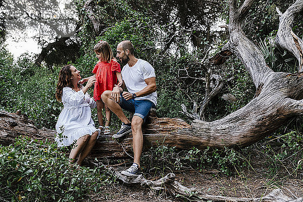 Familie entspannt sich auf einem umgestürzten Baum im Wald
