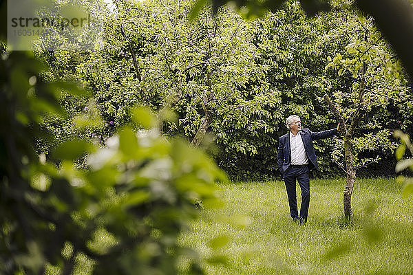 Ein älterer Geschäftsmann steht an einem Baum in einem ländlichen Garten