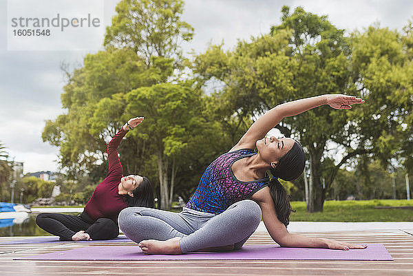 Aktive Frauen üben Yoga an Bäumen im Park