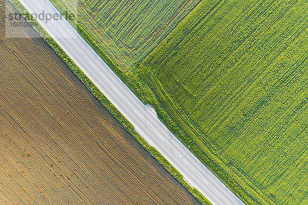 Deutschland  Bayern  Icking  Drohnenansicht einer Landstraße  die sich zwischen braunen und grünen Feldern erstreckt