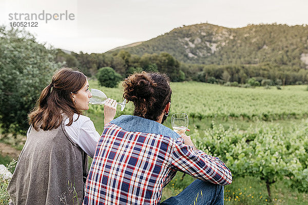 Ehepaar verkostet Weißwein im Weinberg sitzend
