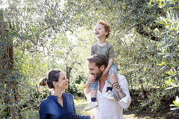 Lächelnde Eltern  die sich gegenseitig ansehen  während sie ihren Sohn auf den Schultern durch einen Olivenhain tragen