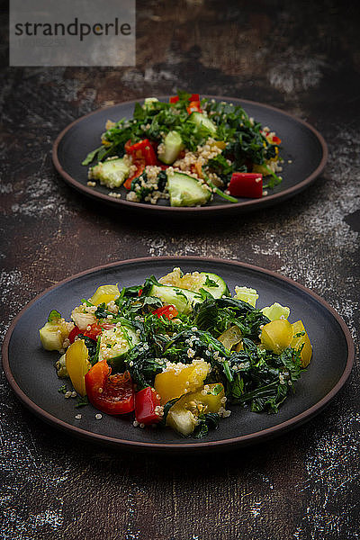 Zwei Teller mit warmem veganen Salat mit Quinoa  Spinat  Paprika  Tomaten  Gurken  Minze und Petersilie