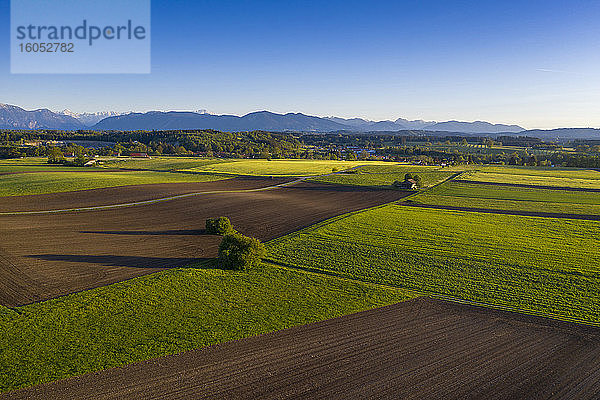 Deutschland  Bayern  Huglfing  Drohnenansicht von braunen und grünen Feldern im Sommer