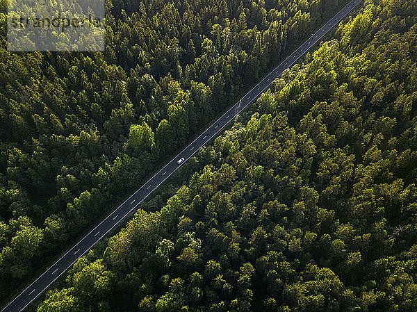 Russland  Leningrad Oblast  Tichwin  Luftaufnahme eines Autos auf einer asphaltierten Straße  die durch einen großen grünen Wald führt