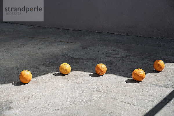 Linie von Orangen am Rande eines Schattens