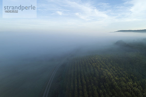 Deutschland  Bayern  Drohnenansicht der in dichten Morgennebel gehüllten Fränkischen Höhe