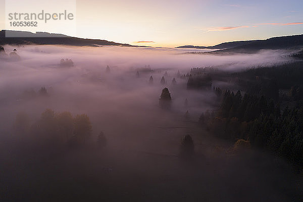 Deutschland  Baden-Württemberg  Drohnenansicht des in dichten Nebel gehüllten Schluchsees bei Sonnenaufgang