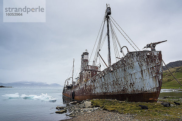 UK  Südgeorgien und Südliche Sandwichinseln  Grytviken  Schiffswrack eines alten Walfangbootes