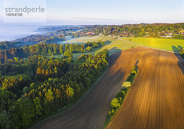 Deutschland  Bayern  Icking  Drohne Blick auf Landschaft Feld in der Morgendämmerung