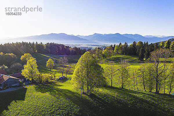 Deutschland  Bayern  Buchberg  Drohnenansicht der grünen Landschaft bei nebligem Frühlings-Sonnenaufgang