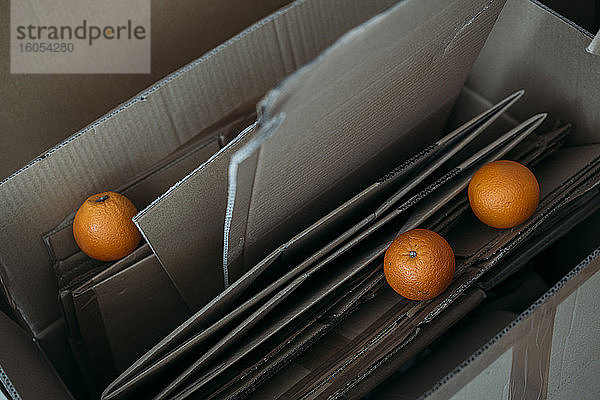 Drei Orangen auf Pappkartons