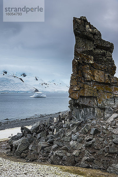 Pinguinkolonie am Fuße einer Felsformation an der Küste