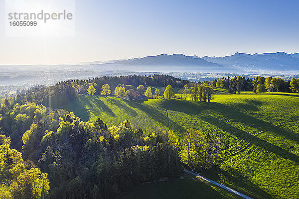 Deutschland  Bayern  Buchberg  Drohnenansicht einer grünen Landschaft bei nebligem Frühlings-Sonnenaufgang