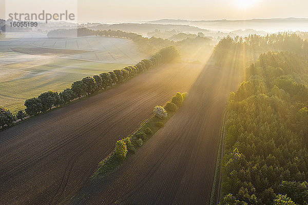 Deutschland  Bayern  Icking  Drohnenansicht eines ländlichen Feldes bei nebligem Sonnenaufgang