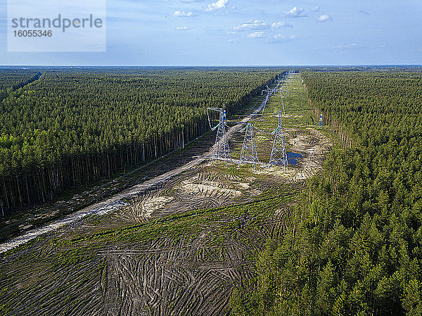 Russland  Leningrad Oblast  Tichwin  Luftaufnahme von Strommasten inmitten eines abgeholzten Gebiets