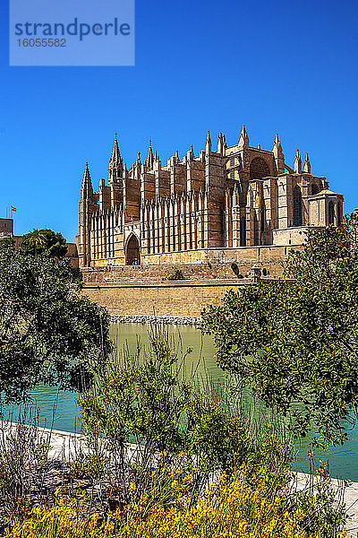 Spanien  Balearische Inseln  Palma de Mallorca  Kathedrale von Palma an einem sonnigen Tag