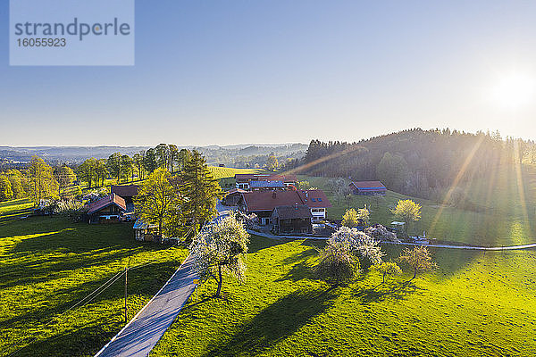 Deutschland  Bayern  Auf der Hoh  Drohnenansicht eines Dorfes auf dem Land bei Sonnenaufgang