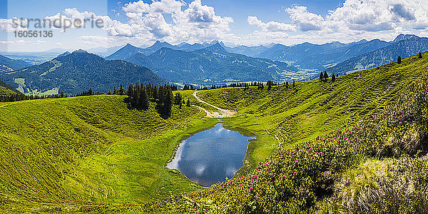 Deutschland  Bayern  Oberallgäu  Wertacher Hornle  Blühende Alpenrose (Rhododendron ferrugineum) und Hornle-See in Allgäuer Alpenlandschaft