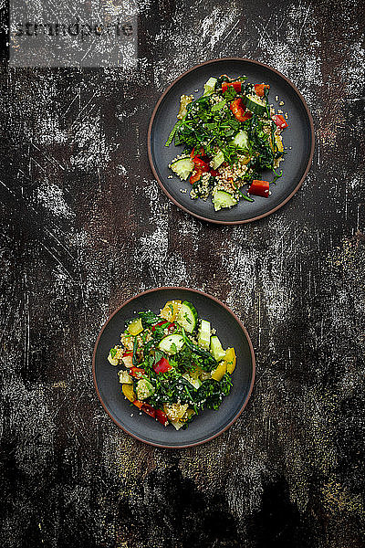 Zwei Teller mit warmem veganen Salat mit Quinoa  Spinat  Paprika  Tomaten  Gurken  Minze und Petersilie