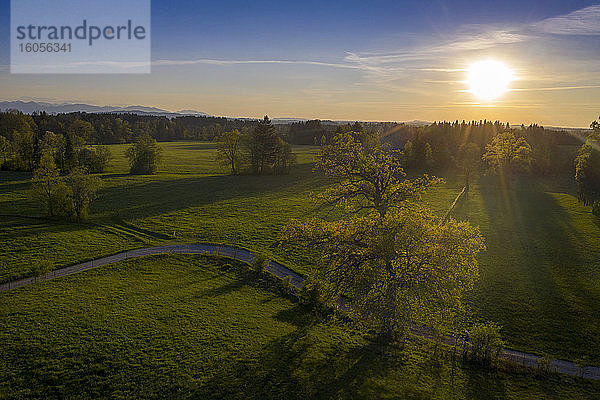 Deutschland  Bayern  Bad Heilbrunn  Drohnenansicht einer grünen Landschaft bei Sonnenuntergang