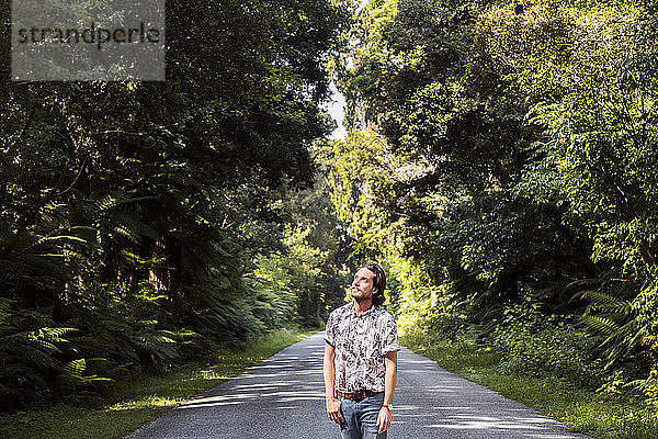 Nachdenklicher junger Mann  der auf einer Straße inmitten von Bäumen im Wald steht und nach oben schaut