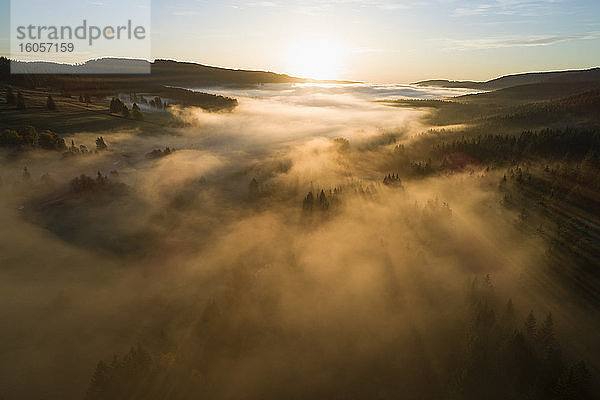 Deutschland  Baden-Württemberg  Drohnenansicht des in dichten Nebel gehüllten Schluchsees bei Sonnenaufgang