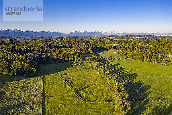 Deutschland  Bayern  Geretsried  Drohnenansicht einer grünen Waldlandschaft im Alpenvorland