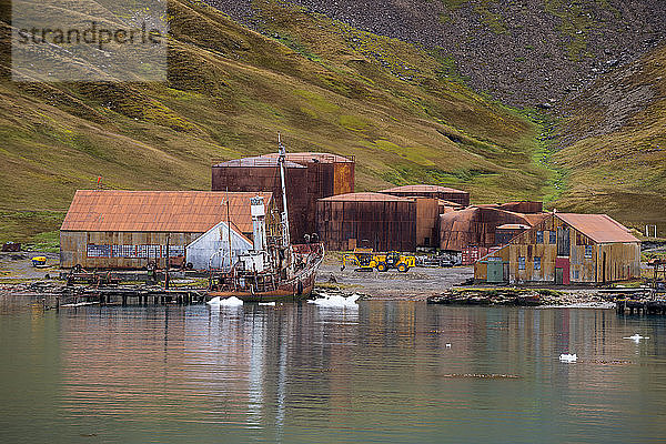 UK  Südgeorgien und Südliche Sandwichinseln  Grytviken  Verlassene Walfangstation in der King Edward Bucht