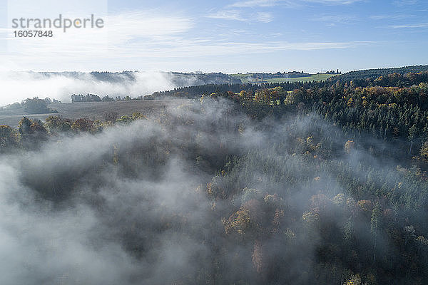 Deutschland  Baden-Württemberg  Drohnenaufnahme eines in Morgennebel gehüllten Herbstwaldes