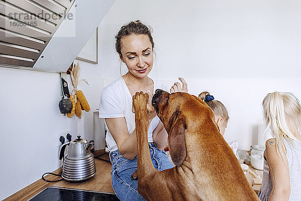 Hund  der sich auf eine Frau stürzt  die zu Hause über dem Küchentisch sitzt  von Mädchen