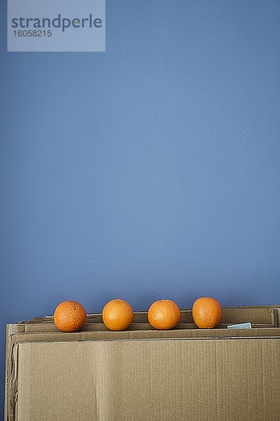 Vier Orangen auf Karton gegen blaue Wand