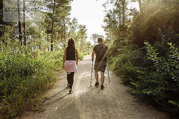 Rückansicht eines wandernden Paares im Wald