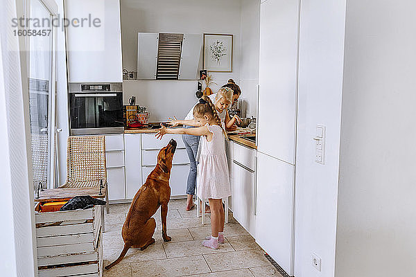 Mutter bereitet Käsekuchen zu  während die Mädchen mit dem Hund in der Küche spielen