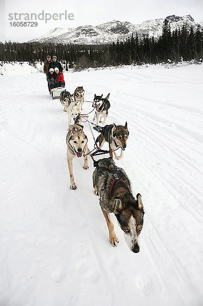 Eine Gruppe von Freunden geniesst eine Hundeschlittentour im Winter im südlichen Zentralalaska