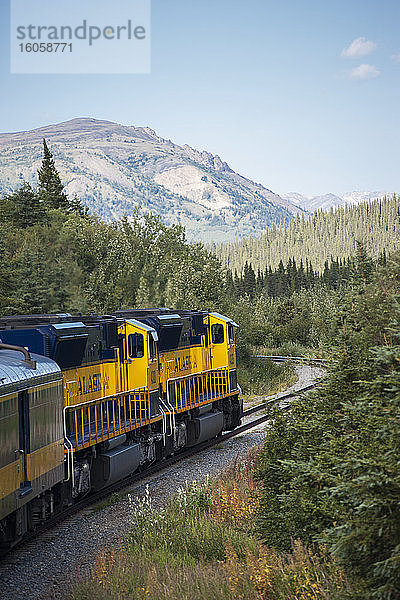Blick von der Aussichtsplattform des Alaska-Eisenbahnzuges  der auf dem Weg zum Denali-Nationalpark an den Gleisen entlang fährt.