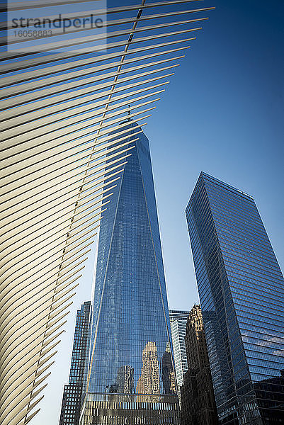 Das Oculus  Verkehrsknotenpunkt des World Trade Center; Manhattan  New York  Vereinigte Staaten von Amerika